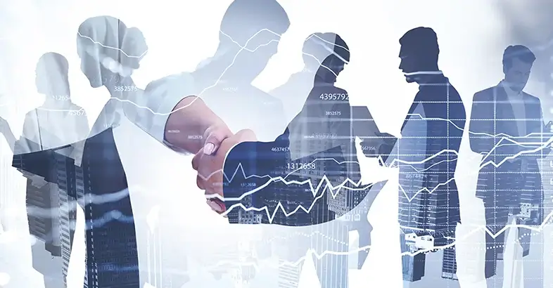 Bachelor of Commerce Honours in Economics