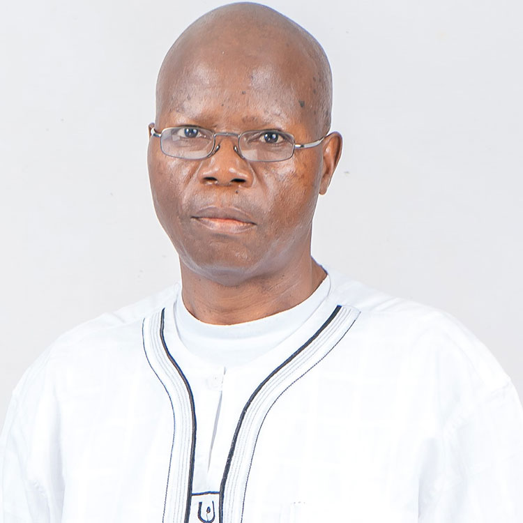 Professor Stephen M Mutula